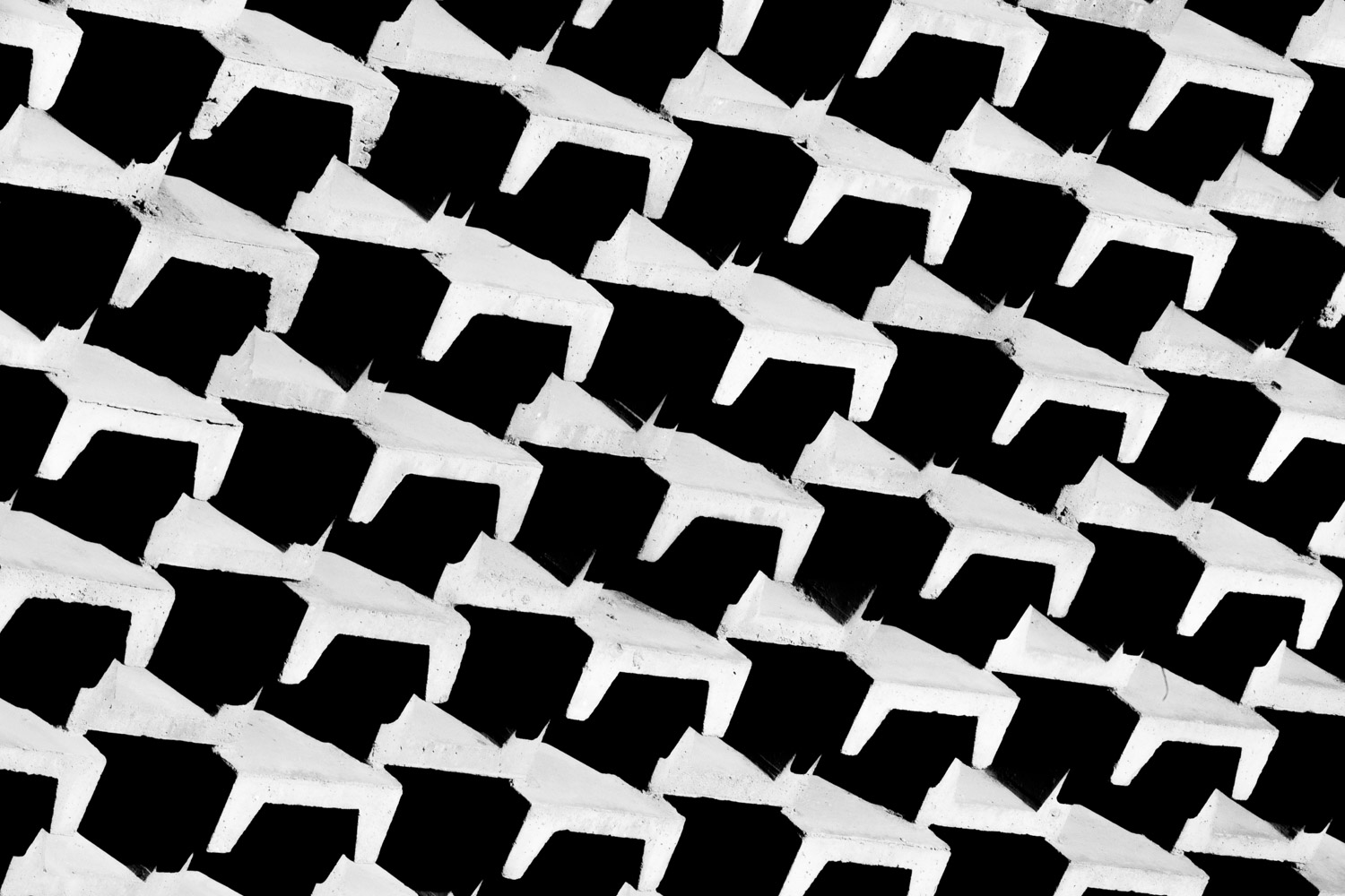 Foto+-+Bruno+Bou-7588