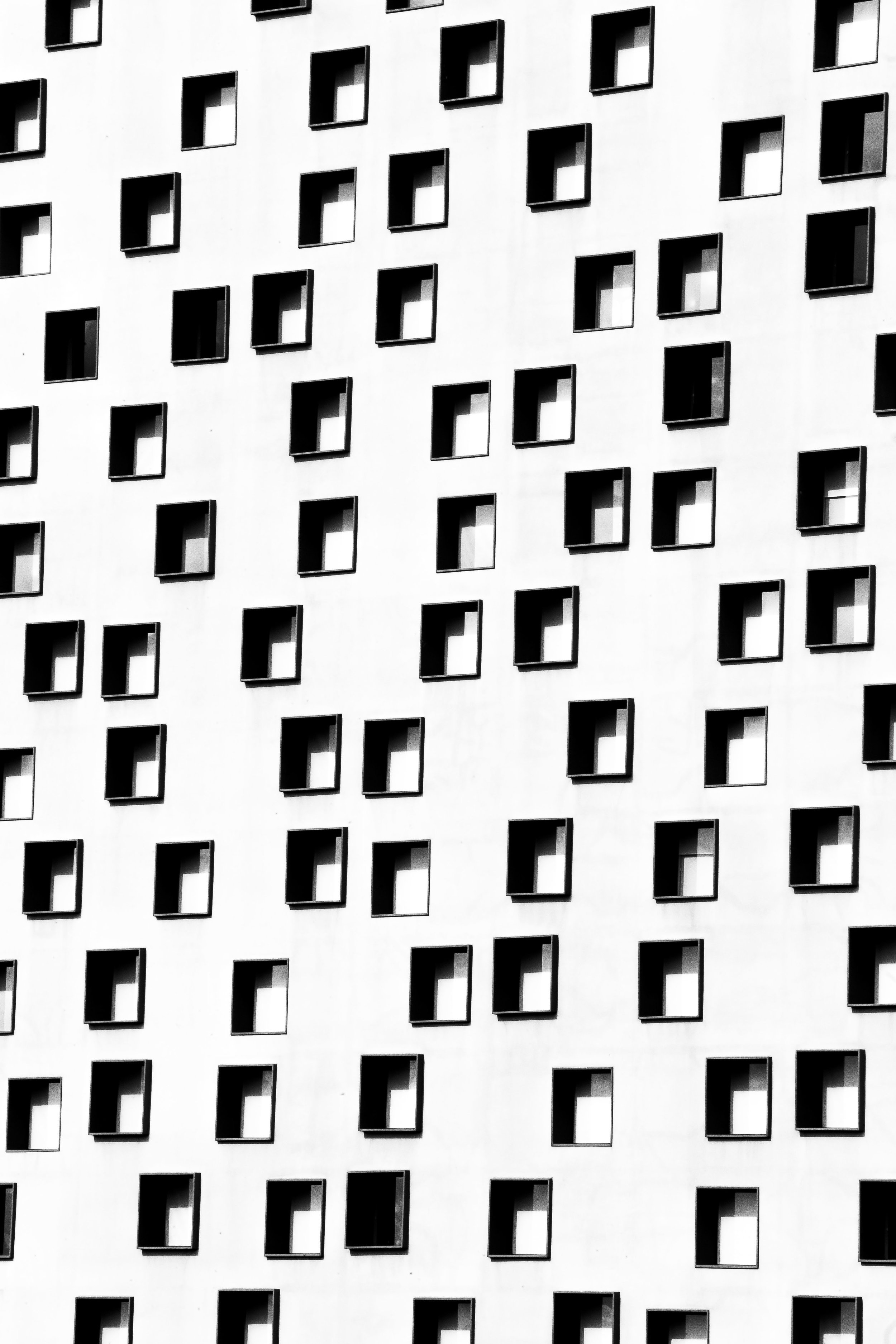 credito+bruno+bou-4812