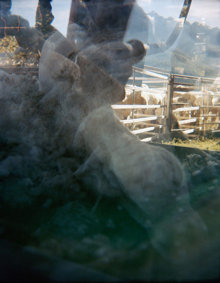 Julieta Schildknecht Stone Vallery (positive)