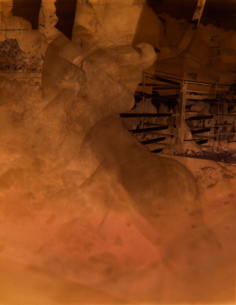 Julieta Schildknecht Stone Valley (negative)